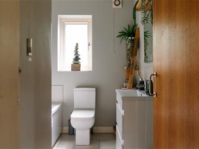 Picture 31
